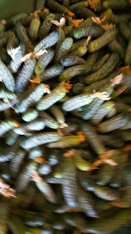 IMG-20250318-WA0134