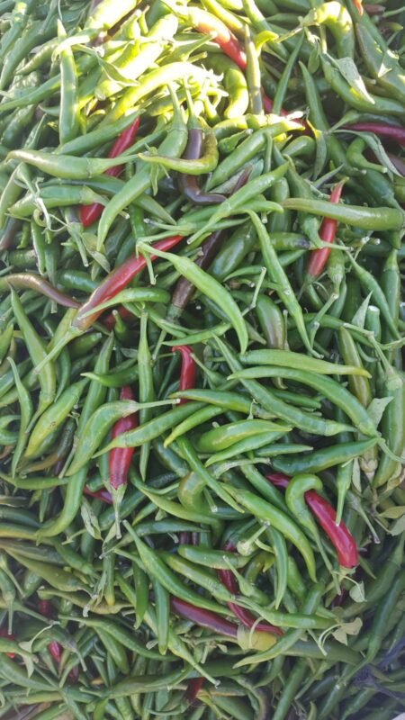 IMG-20250318-WA0161