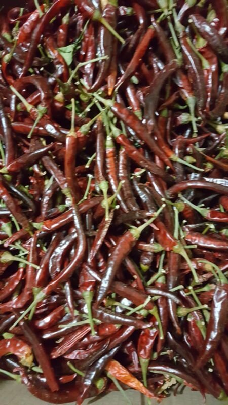 IMG-20250318-WA0163