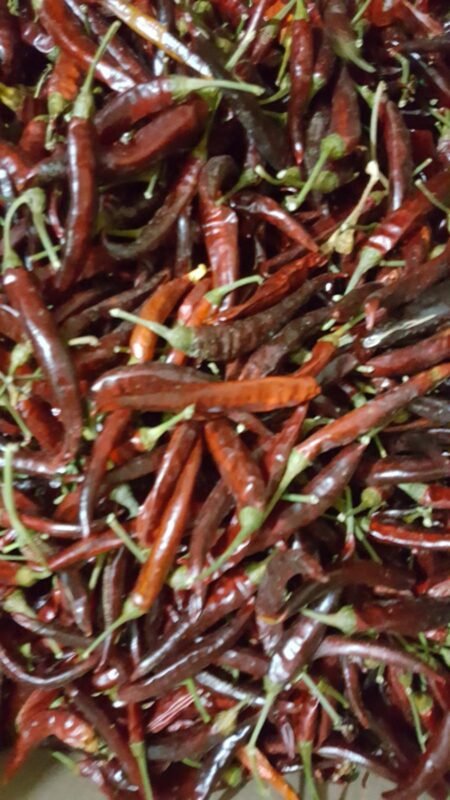 IMG-20250318-WA0167